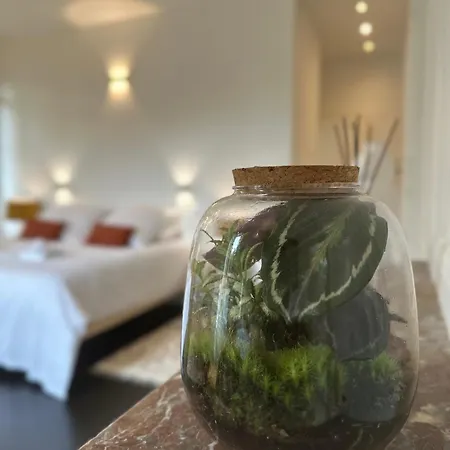 酒店 Chateau Loyd & Normandie Pays De Caux *